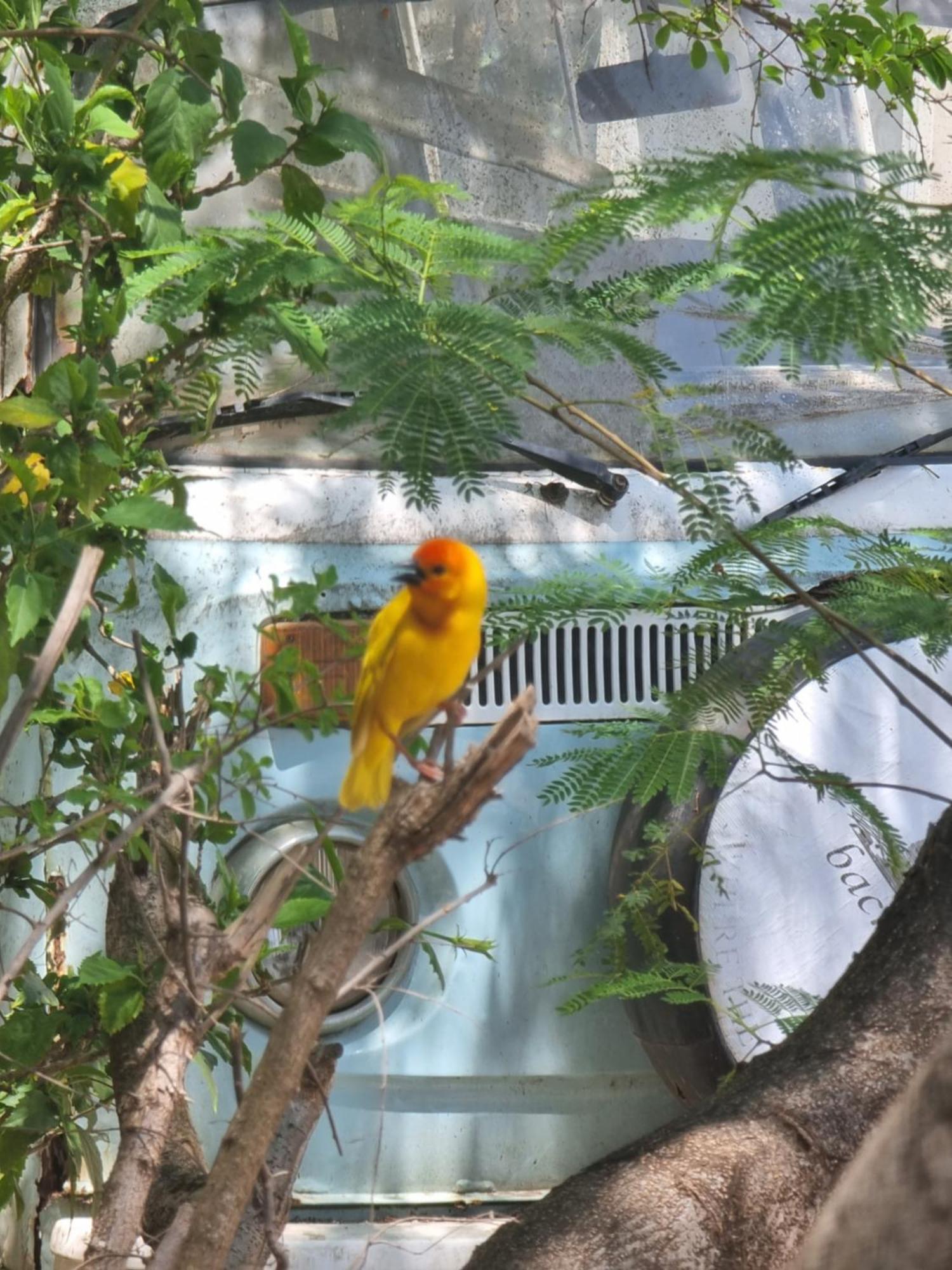 Tulia House Backpackers Hostel Mombasa Exterior photo